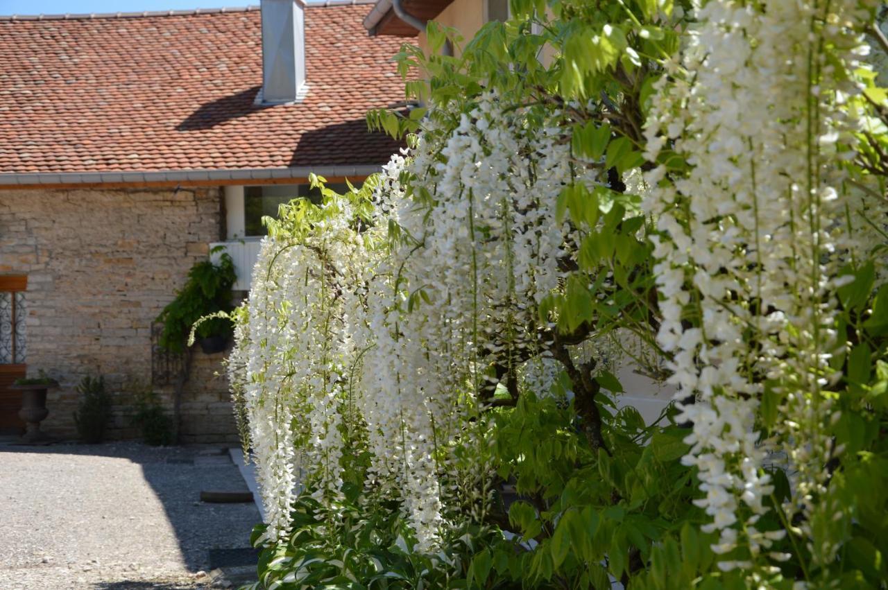 La Ferme Aux Glycines Hotel Aillevans Kültér fotó